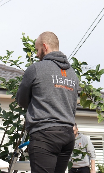 A member of the Harris Movers team wearing a branded hoodie